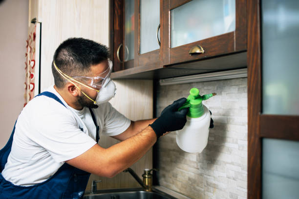 Best Pest Control Near Me  in North Brooksville, FL
