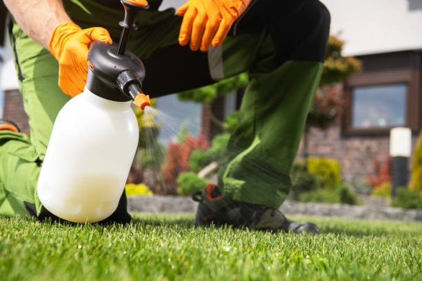 Best Rodent Control Near Me  in North Brooksville, FL
