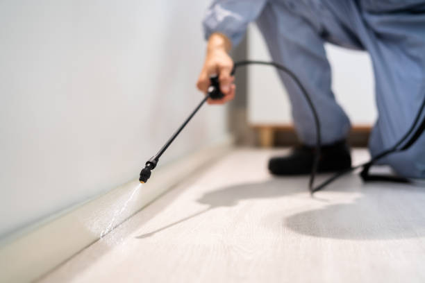 Best Mosquito Control Services  in North Brooksville, FL