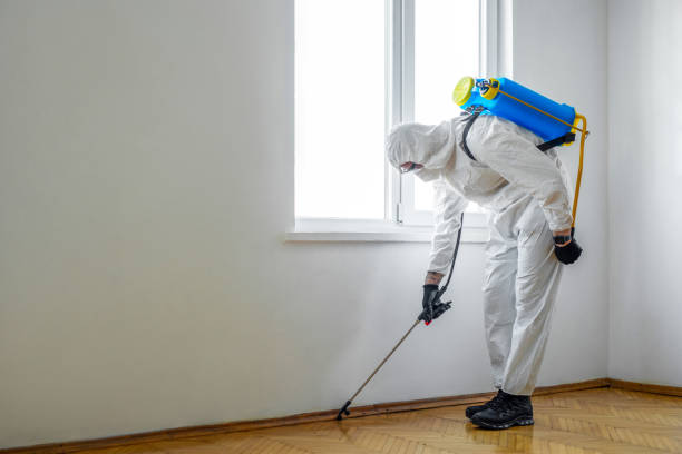 Best Local Pest Control Services  in North Brooksville, FL