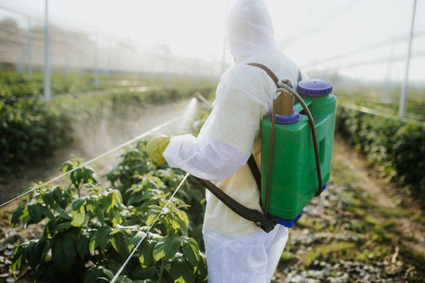 Best Commercial Pest Control Services  in North Brooksville, FL